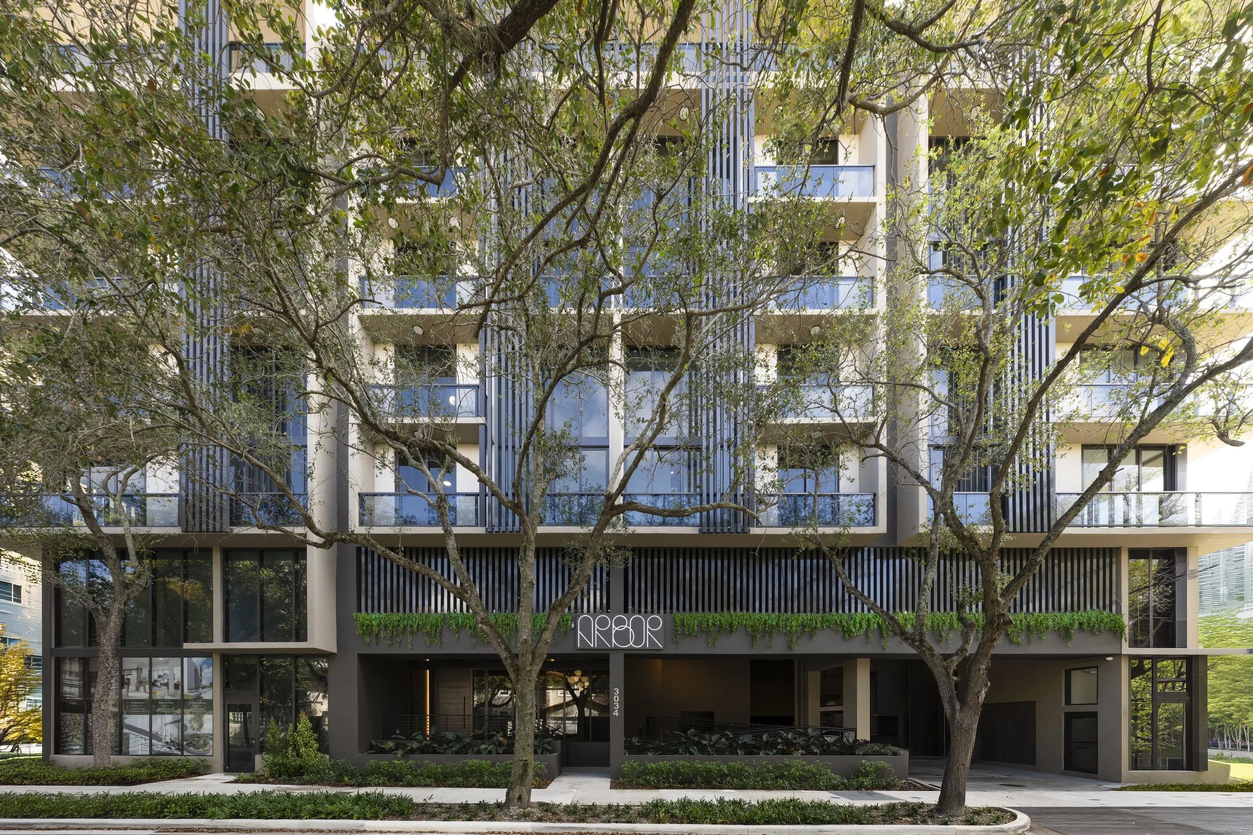 Arbor — rendering 1