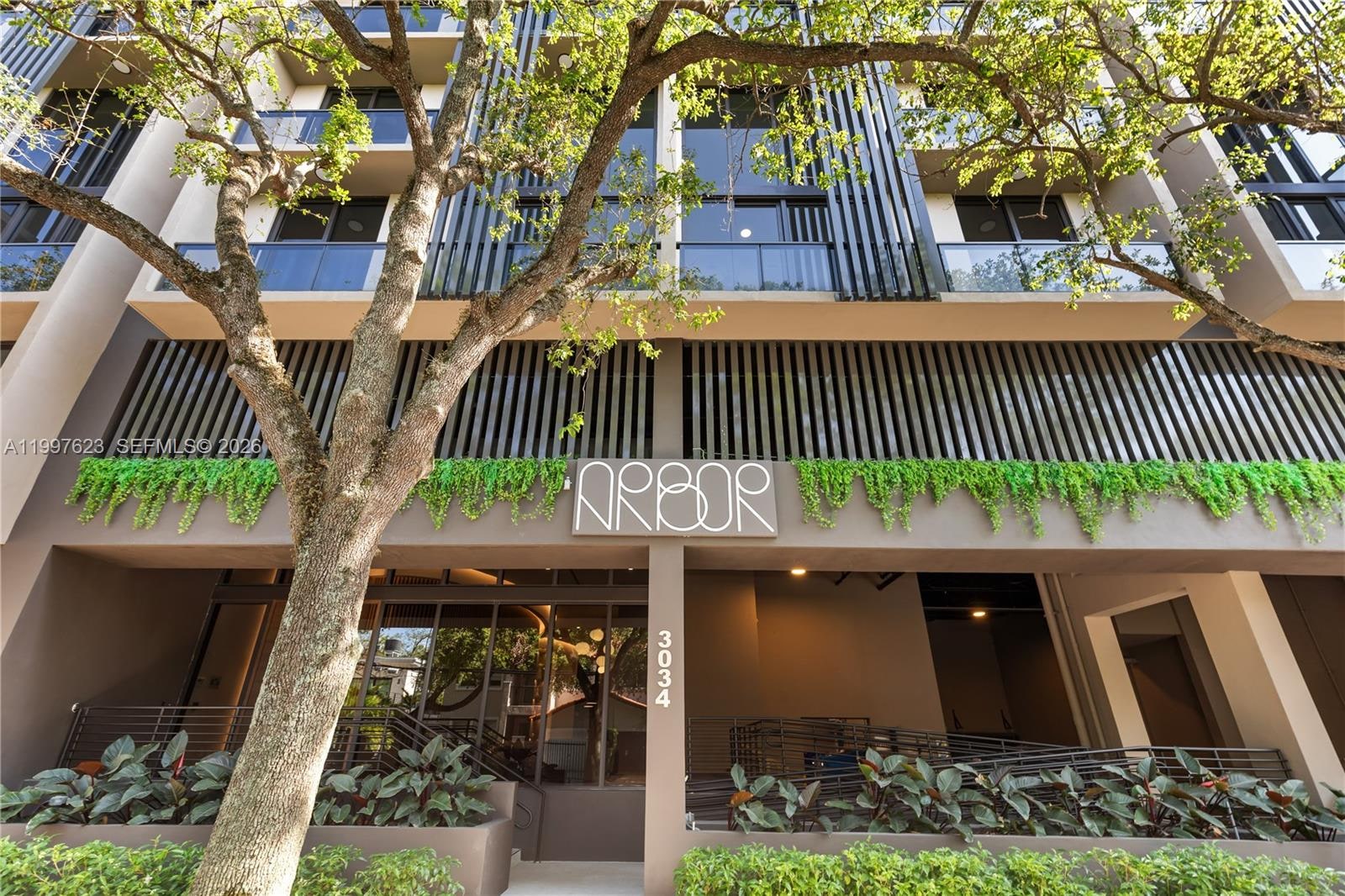 Arbor Coconut Grove